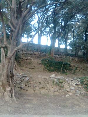 Прикрепленное изображение: Фото0290.jpg